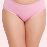 48 Pack of Womens Panties in Wholesale